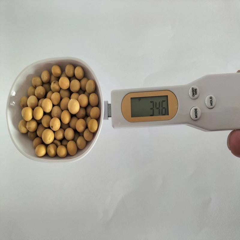 Kitchen Spoon Scale 