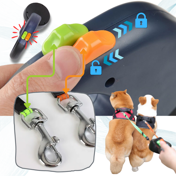 Tangle-Free Double Dog Leash